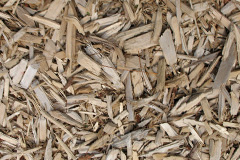 biomass boilers Screveton